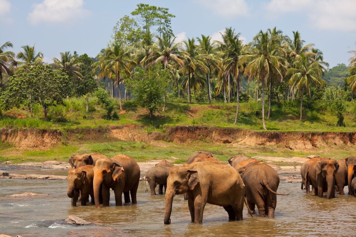 สำนักงานพาณิชย์จังหวัดสุรินทร์