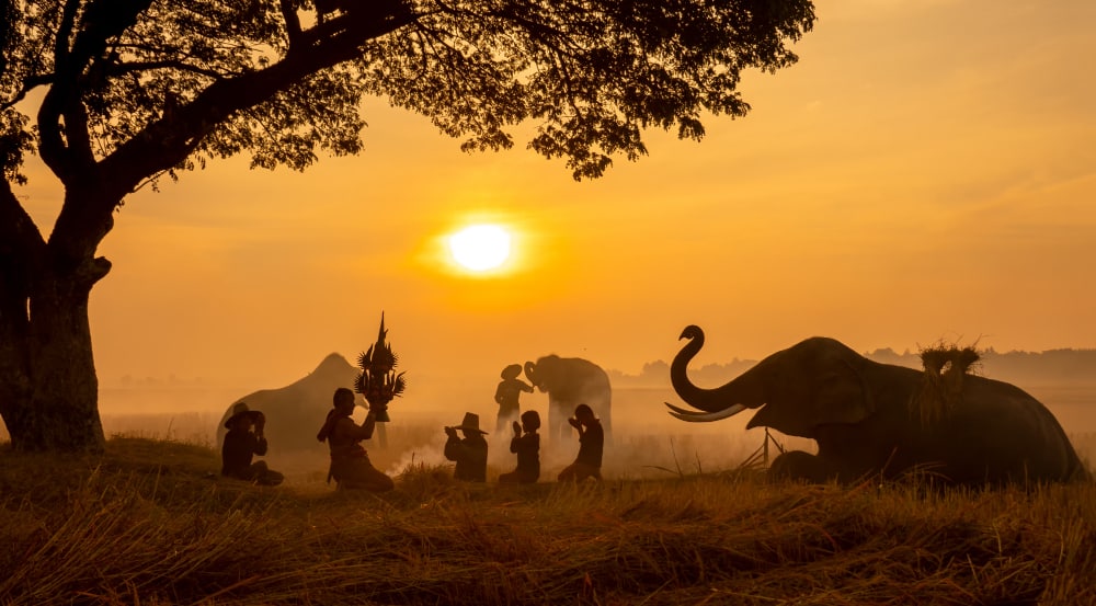สำนักงานพาณิชย์จังหวัดสุรินทร์ 2
